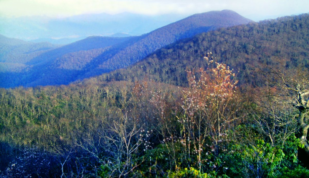May 11, 1983, 41 years ago today: When I reached Winding Stair Gap, I found a parking area by the side of the new US Highway 64, a main thoroughfare in these parts.

#backpacking #hiking #landscapephotography #NorthCarolina #nature #forest #mountains #AppalachianTrail