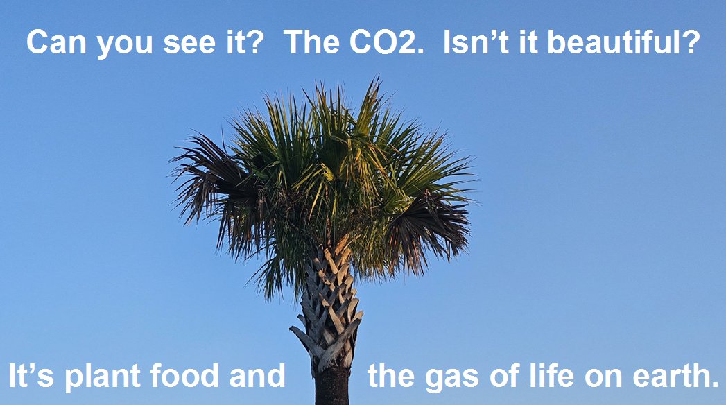 It's another great day for photosynthesis -- so get out and celebrate CO2 -- the gas of life.