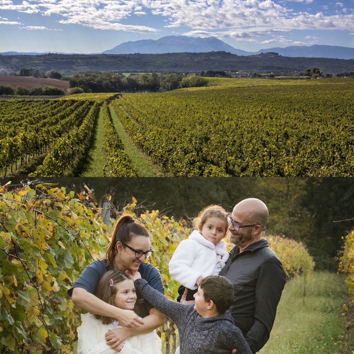 The 100th @CircleofWine Let’s Talk about the Abruzzo region of Italy will take place by zoom on Tuesday 21st May at 5pm BST with Rodrigo Redmont, President of @TenutaTalamonti .  Guests welcome - please contact @CircleofWine @MicheleShah or @sueeames3 for the link.