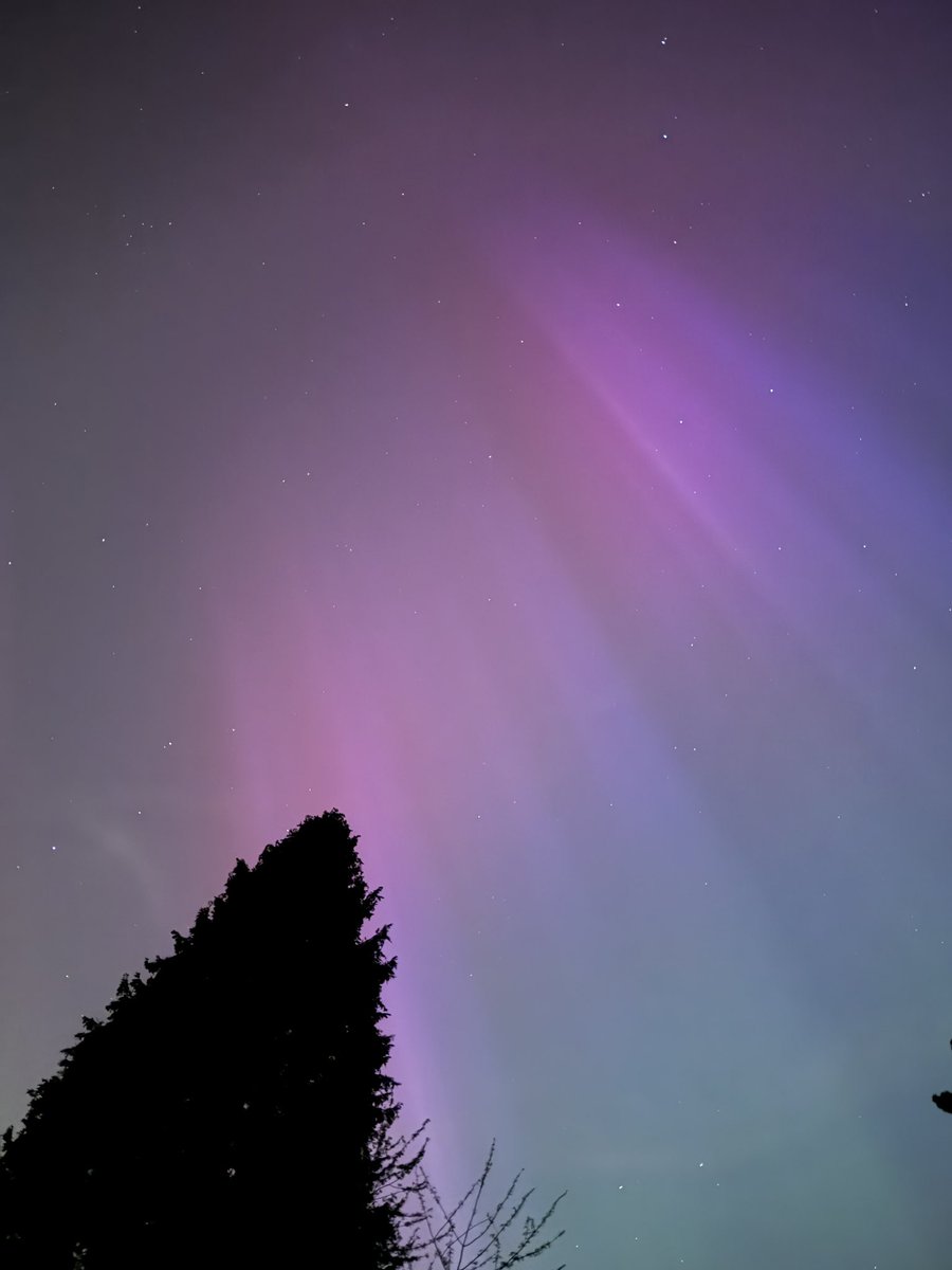 Nettenet tweet media