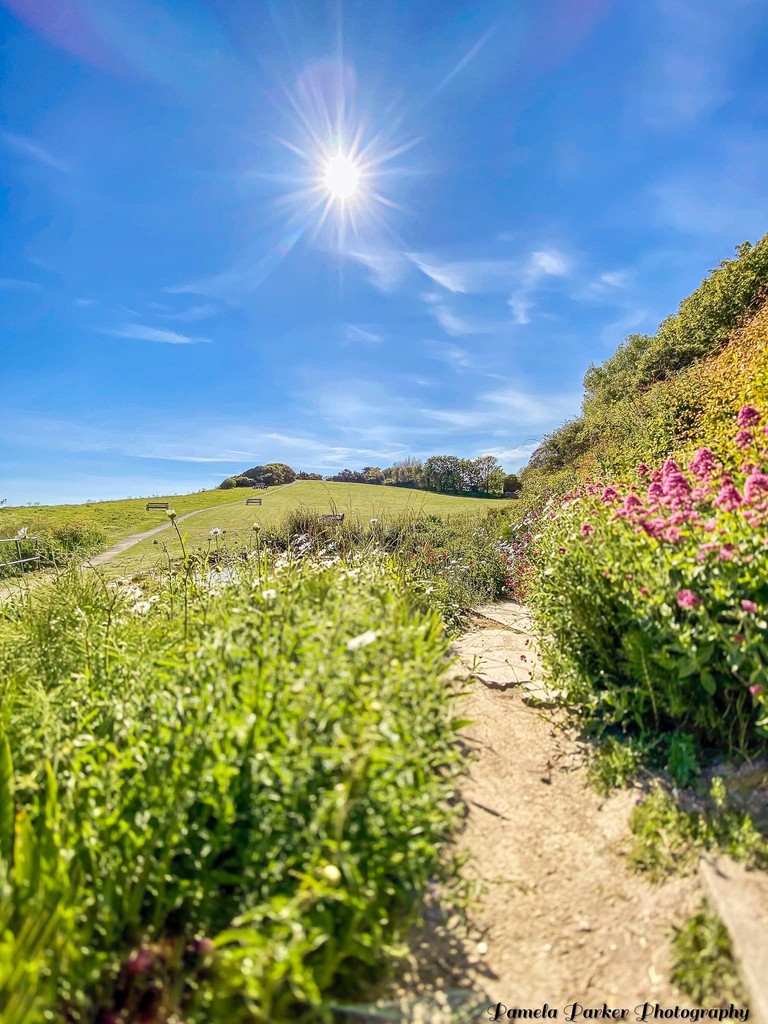 Where will your adventure take you this weekend? 🗺️ 🥾 📌 Flowersbrook, Ventnor 📷️ Pamela Parker⁠ ⁠ #exploreisleofwight #outdoors #holiday #LoveGreatBritain #island #spring #perfect #happiness #explore #inspired #youtime #weekendvibes #walk #freshair #breathe #adventures