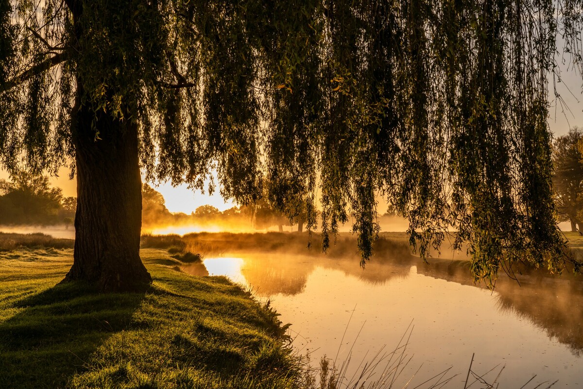 Does this image stir up warm, cozy vibes for you too? Let these views take you on a little mental vacation this weekend! 📍 Bushy Park 📷 Lesley Marshall