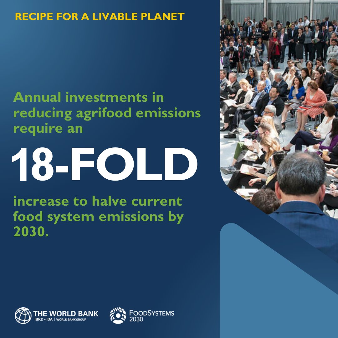 #DidYouKnow that annual investments in reducing agrifood emissions require an 18-FOLD increase to halve current food system emissions by 2030? Know more: wrld.bg/Slis50RA2vQ #LiveablePlanet 🌱