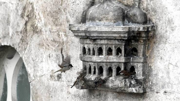 Ottoman-era (13th – 20th c.) birdhouses that show how much Turkish people loved birds. 🇹🇷

In Turkey, the birdhouses were affixed to the outer walls of significant city structures, such as mosques, inns, bridges, libraries, schools and fountains. Not only did they provide the