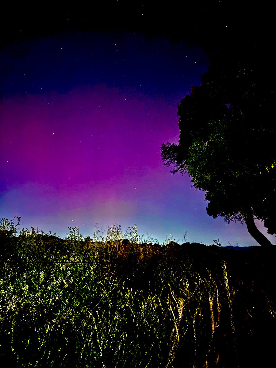 It’s getting gorgeous out there! #iPhone #Fremont #NorthernLights #Auroraborealis #bayarea @DrewTumaABC7 #CAwx