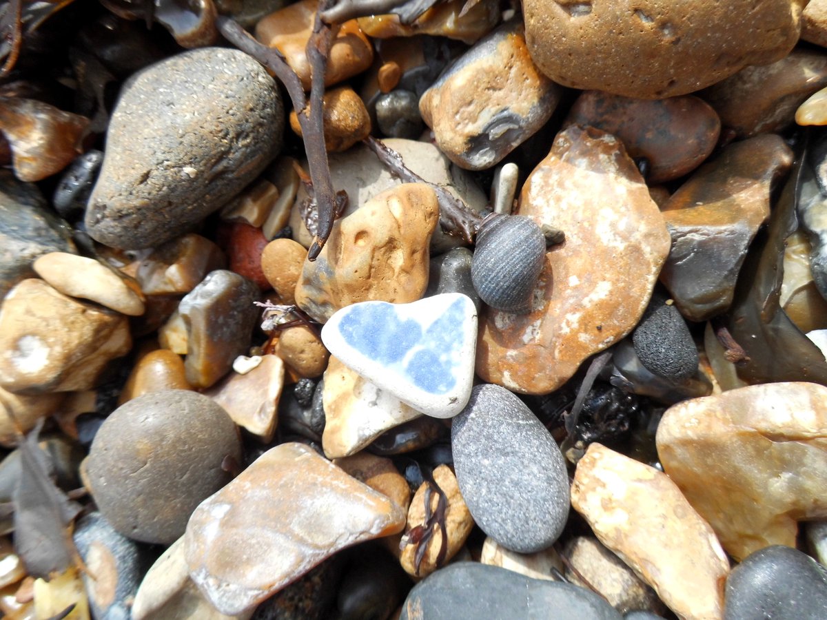 Something Fishy Going On!! #beachfinds #metal #litterpicking #curiosities #beachcombing #beads #seaglass #fish
