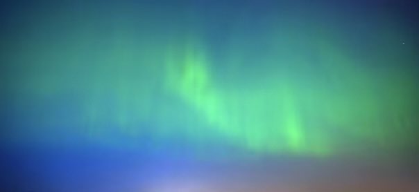 Solent Seahawks tweet media