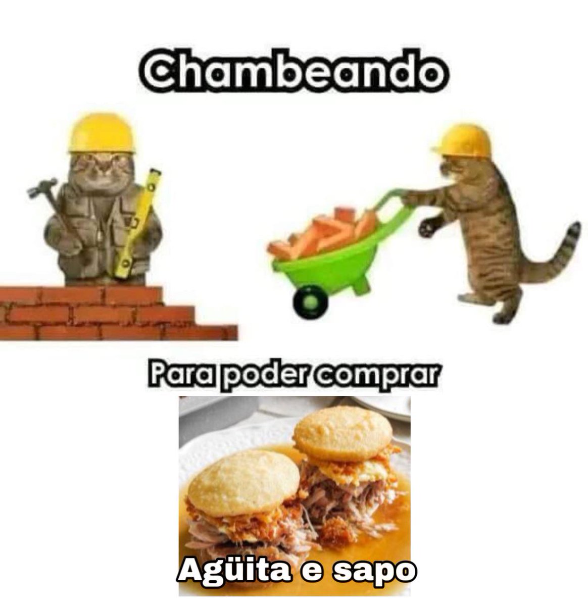 Te amo agüita e sapo