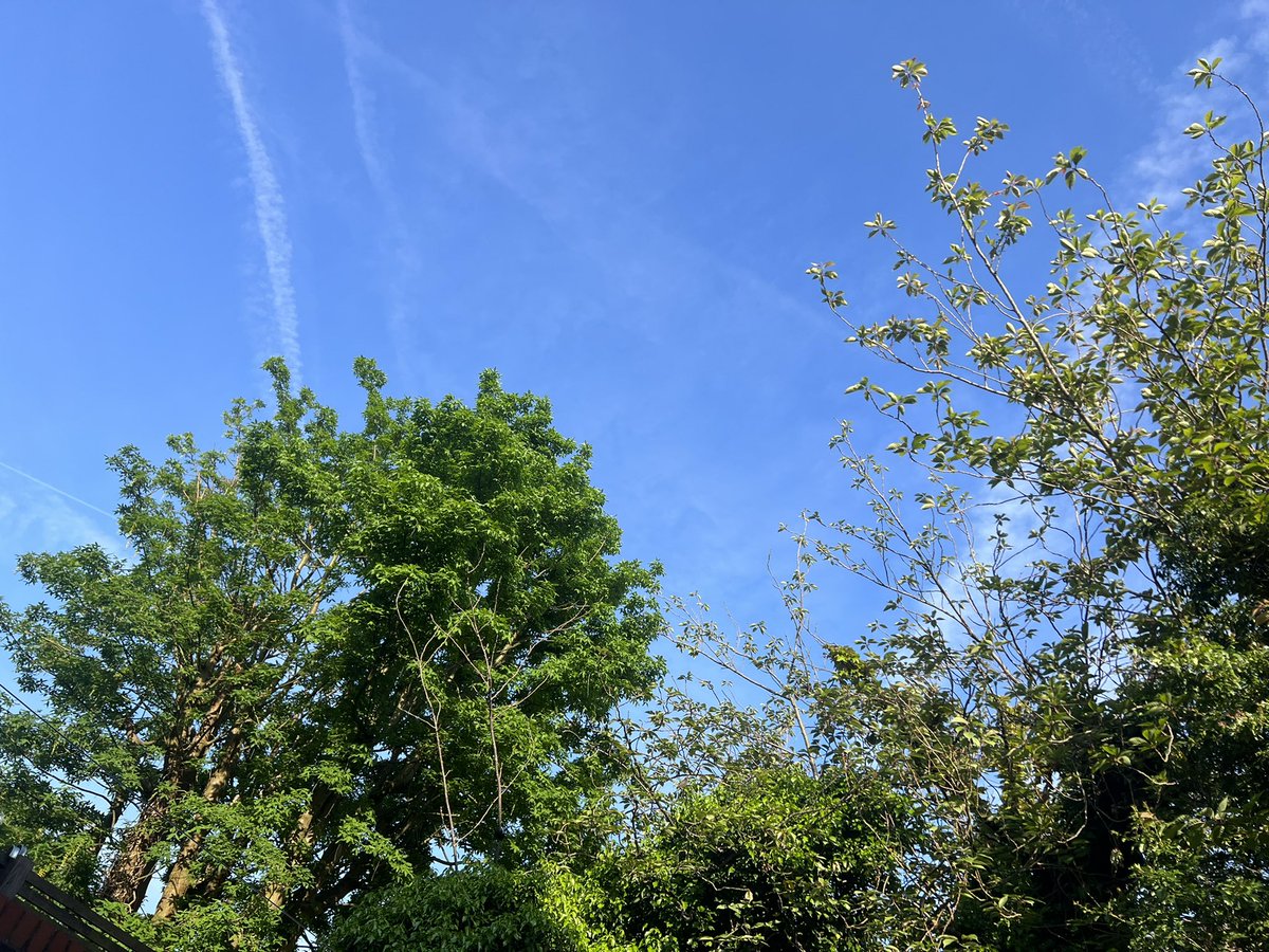 Julie Wilson tweet media