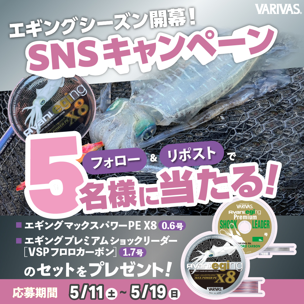 「フォロー＆リポスト」で当たる‼️ 
エギングシーズン開幕キャンペーンを開催✨

実釣で活躍間違いなしの、
『VARIVAS アバニ エギング マックスパワーPE X8』
『VARIVAS アバニ エギング プレミアムショックリーダー』をセットでプレゼント！

本投稿をフォロー＆リポストでぜひご応募くださいませ‼️
