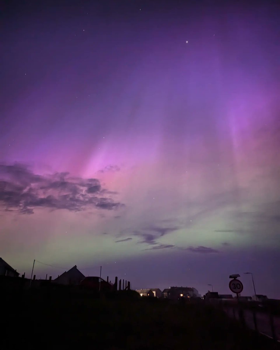 Kathi Kamleitner ✌️🌿 tweet media