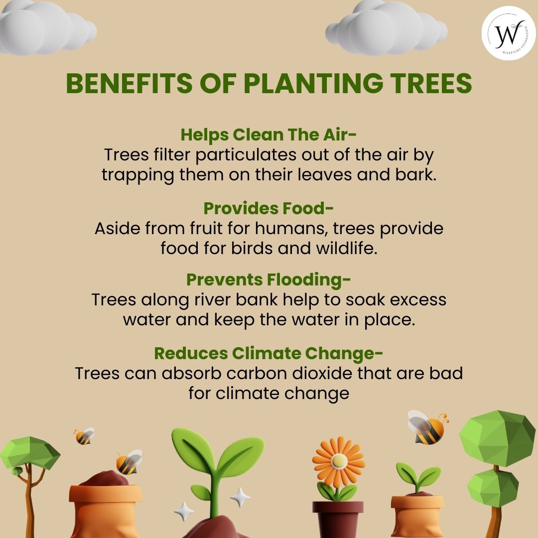 BENEFITS OF PLANTING TREES
#plantatree #cleanair #climatechange #WisefolksFoundation #aurora