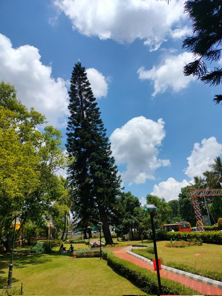 hari82410's tweet image. తిరుమల పర్యటనలో భాగంగా మొదట పెద్దాయన వేంకటేశ్వర స్వామి దర్శనం , తరువాత  ఇంటికి వెళ్లి పెద్దాయన @ncbn గారికి ఓటు ఇదే మన లక్ష్యం.

#NaraChandrababuNayudu
#TDPWillBeBack 
#TTD
#Tirumala