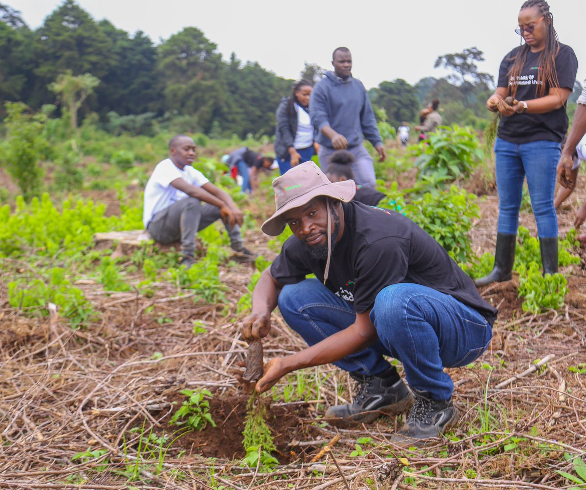We planted a remarkable 15,500 trees cumulatively at Uplands in Kiambu County, Ontulili in Meru County, Bahati in Nakuru County, and Elgeyo Forest Station, in Elgeyo-Marakwet County. #SustainableSafaricom