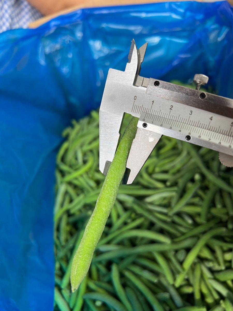HBagrilinks (@hbagrilinks) on Twitter photo Elevate your recipes with the unique flavor of IQF green beans! Tender and delicious, they're perfect for Asian-inspired stir-fries or as a colorful side dish. Taste the freshness of farm-picked green beans! #Green beans #FrozenVeggies #FarmFresh Elevate your recipes with the unique flavor of IQF green beans! Tender and delicious, they're perfect for Asian-inspired stir-fries or as a colorful side dish. Taste the freshness of farm-picked green beans! #Green beans #FrozenVeggies #FarmFresh