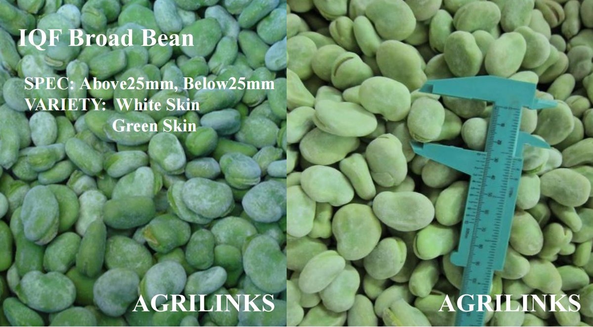 HBagrilinks (@hbagrilinks) on Twitter photo Discover the versatility of IQF Broad Beans! Whether mashed into a dip, added to salads, or tossed into pasta dishes, these beans add a hearty texture and nutty flavor. Elevate your cooking with our frozen beans today! #BroadBeans #FrozenFood #CookingIdeas Discover the versatility of IQF Broad Beans! Whether mashed into a dip, added to salads, or tossed into pasta dishes, these beans add a hearty texture and nutty flavor. Elevate your cooking with our frozen beans today! #BroadBeans #FrozenFood #CookingIdeas