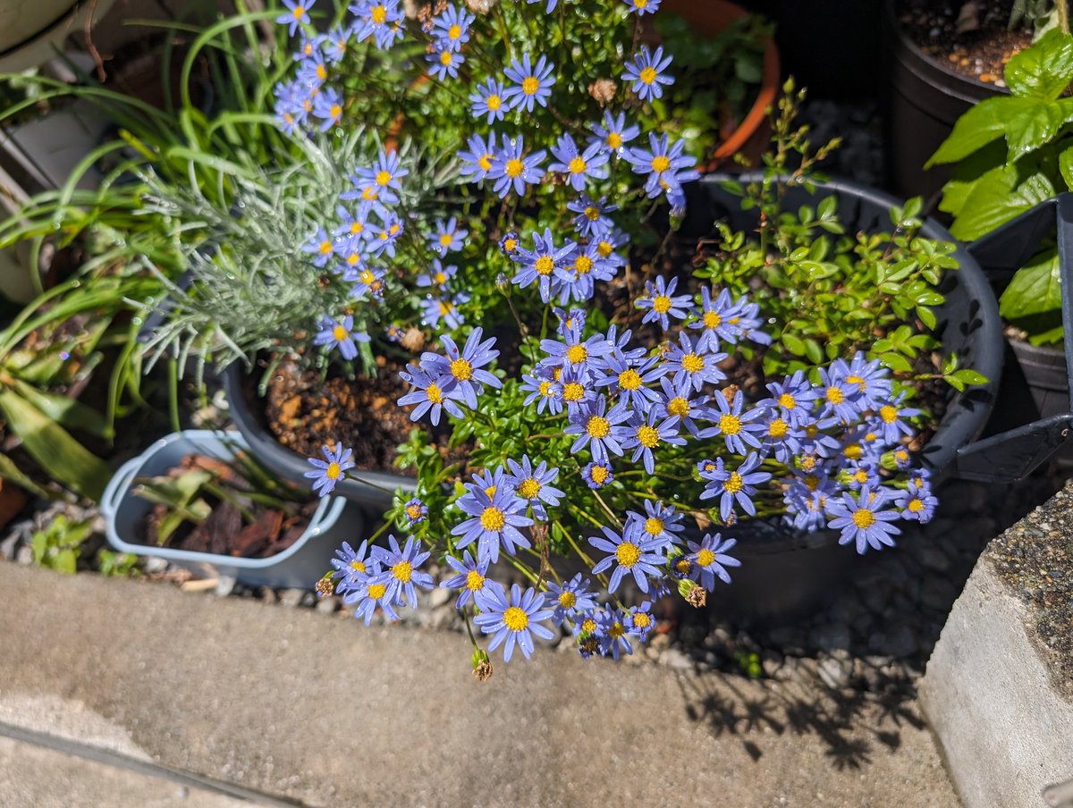 そな🩹 tweet media