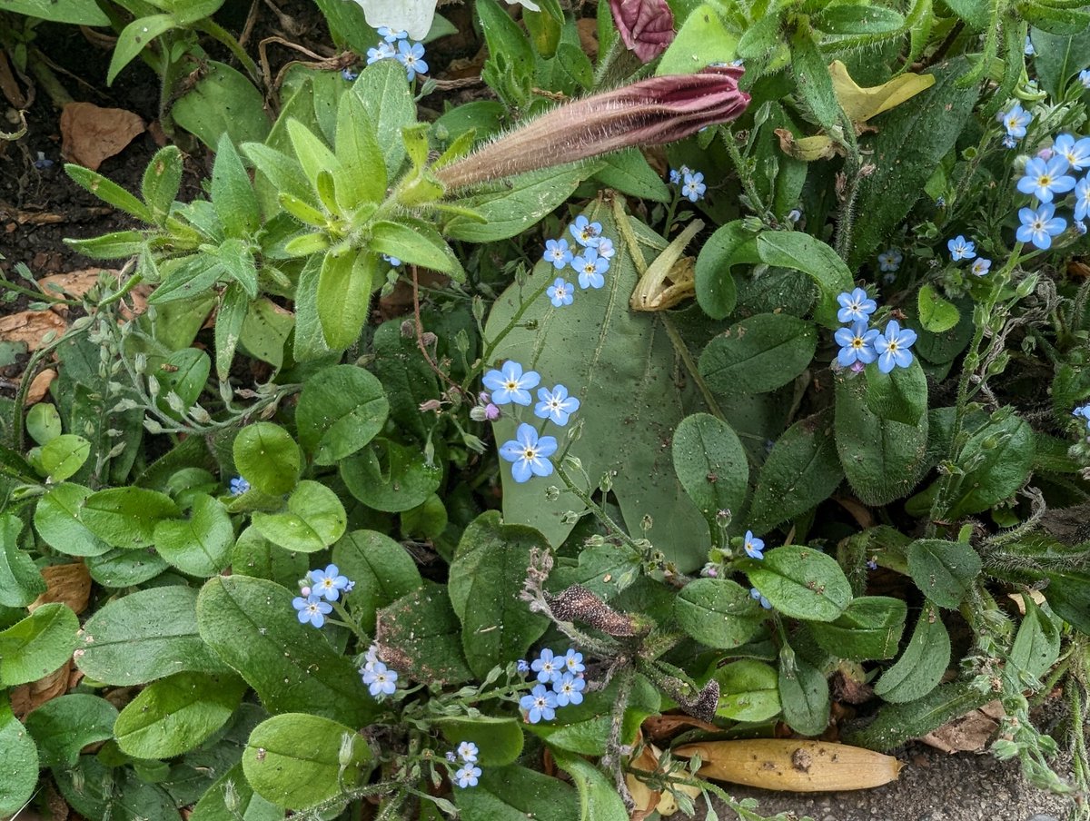 そな🩹 tweet media