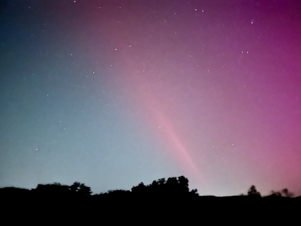 ciarabaylee's tweet photo. Aurora’s in Napa, CA! @NapaRegister https://t.co/sfPypRhAZG