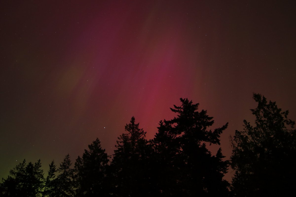 Catching rads in North Saanich, BC. Northern Lights photographed with Canon T7i & Rokinon 14mm lens. 5 second shots, f2.8 aperture, and 800 ISO. This is what unaltered, straight out of the can looks like, without all the PhotoShop, AI, and other forms of wizardry. #Auroraborealis
