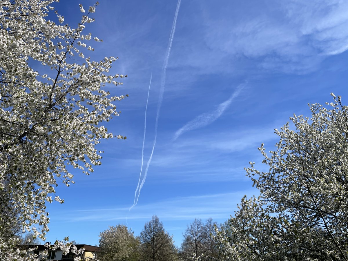 punjabiblinder's tweet image. 1,2,3,4 
A story of 4 hrs.Clear sky to #chemtrails poison and #sunblocking. Occupied Sweden is serving to its lords in weather manipulation and climate scam agenda pushing.War on food production is altering weather and blocking Sun. @BGatesIsaPyscho @mazzenilsson