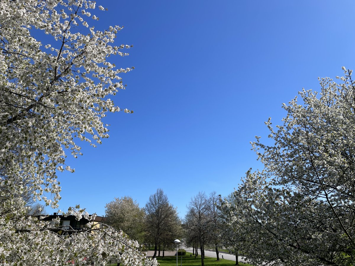 punjabiblinder's tweet image. 1,2,3,4 
A story of 4 hrs.Clear sky to #chemtrails poison and #sunblocking. Occupied Sweden is serving to its lords in weather manipulation and climate scam agenda pushing.War on food production is altering weather and blocking Sun. @BGatesIsaPyscho @mazzenilsson