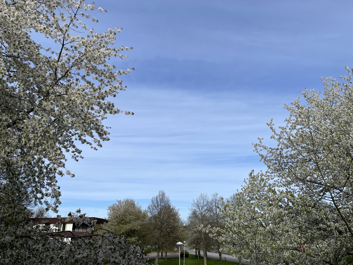 punjabiblinder's tweet image. 1,2,3,4 
A story of 4 hrs.Clear sky to #chemtrails poison and #sunblocking. Occupied Sweden is serving to its lords in weather manipulation and climate scam agenda pushing.War on food production is altering weather and blocking Sun. @BGatesIsaPyscho @mazzenilsson