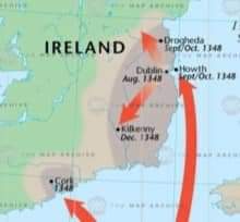 The Black Death, aka Bubonic Plague, obliterated over 30% of the population of Ireland. It invaded Medieval Dublin via Howth and Dalkey in 1348. It came from infected fleas on rats, which stowed away on ships entering port, probably from Bordeaux in France. 

Public life went