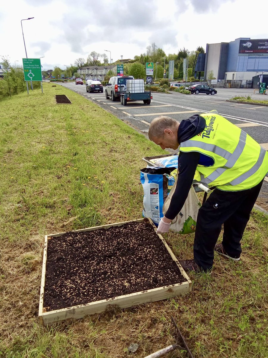 If you’re passing through Carrick on Shannon this summer keep an eye out for the oats growing along the N4. Sown by the wonderful Carrick on Shannon Tidy Towns team as part of Sowing the Seed project. SowingTheSeedProject.com @creativeirl @leitrimcoco #Leitrim