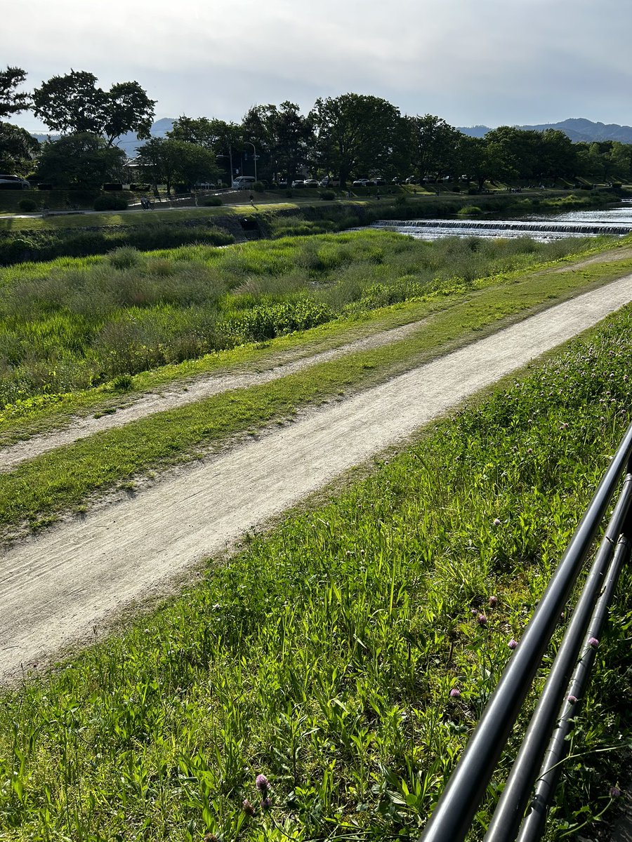 植物園のすぐ横は賀茂川なんで、気候さえよければ永遠にぼーっと出来ます。