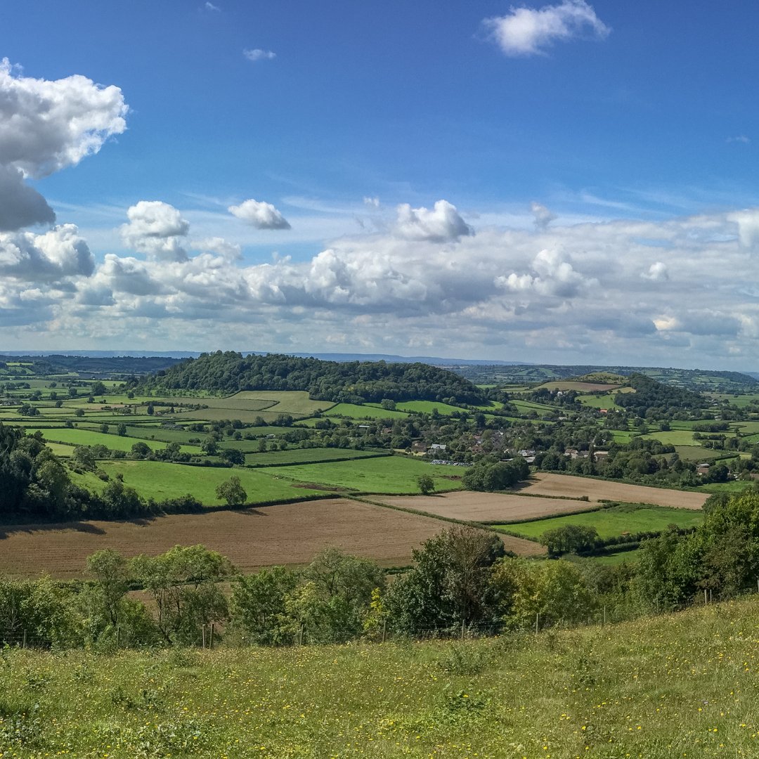 Happy #SomersetDay! 🌱 What was the last wild place you visited in Somerset? Let us know in the comments below! 👇