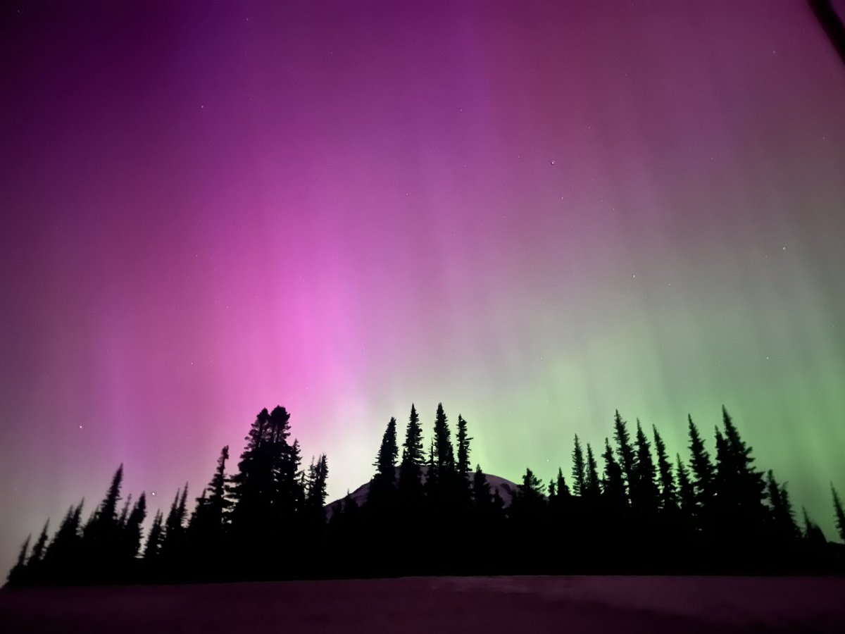 Northern lights in Mount Rainier National Park in Washington 🩷🤍💚 #NorthernLights #WashingtonState #mountrainier