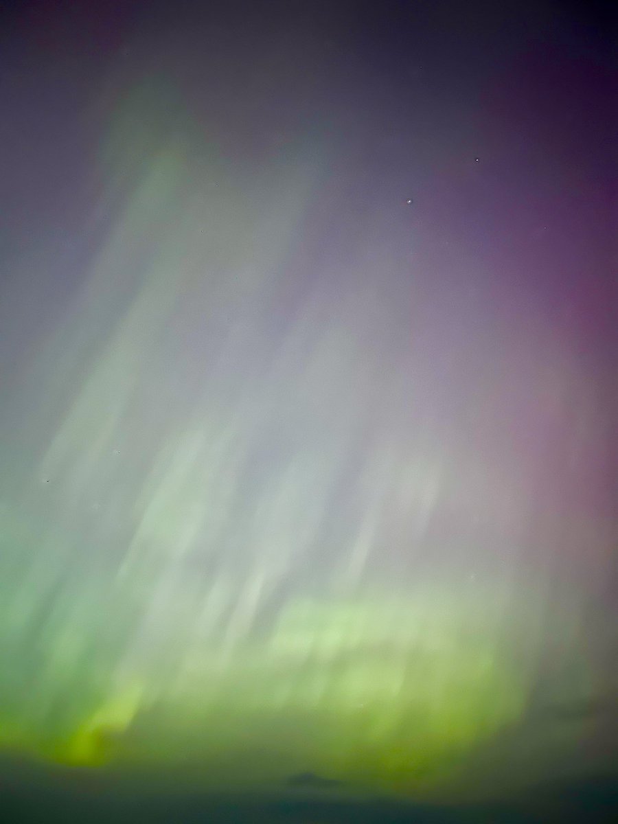 Vic (董雨欣) tweet media