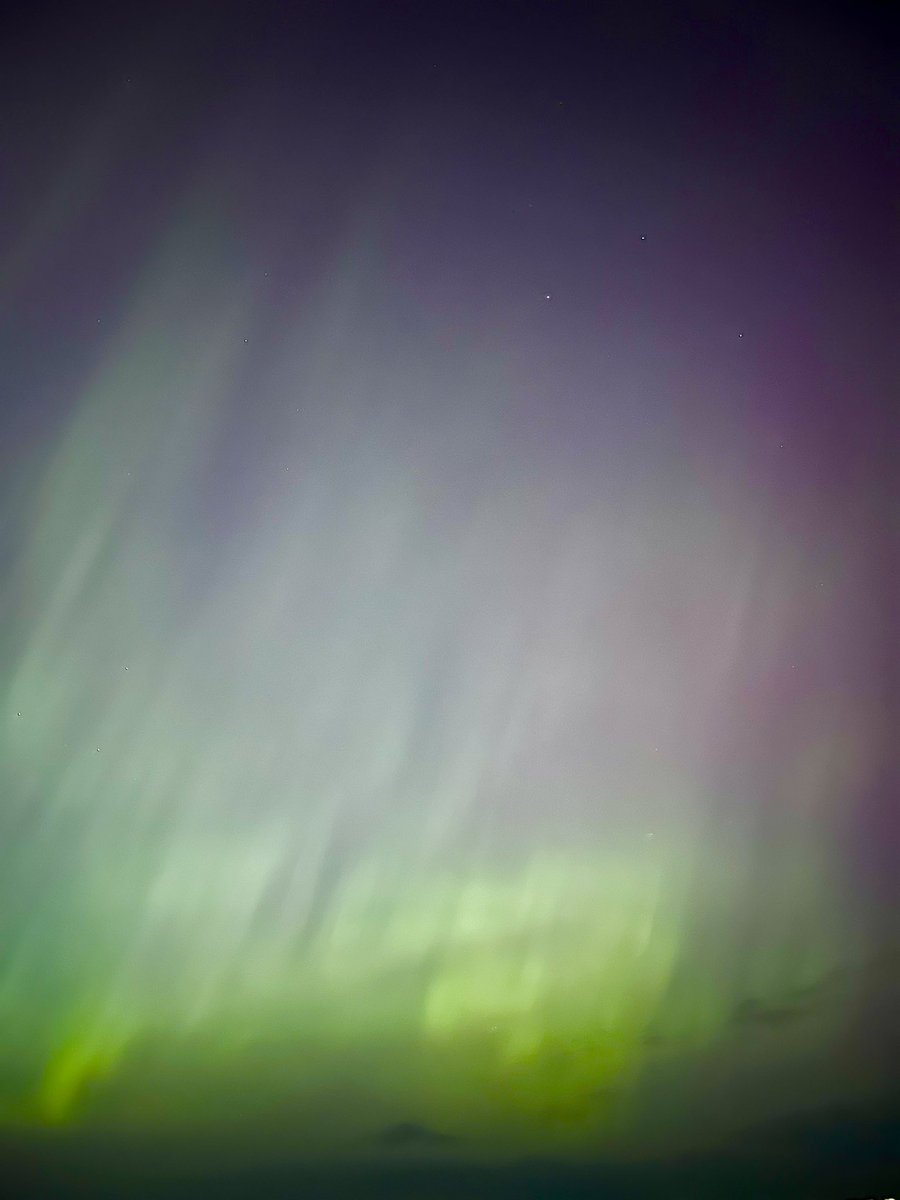 Vic (董雨欣) tweet media