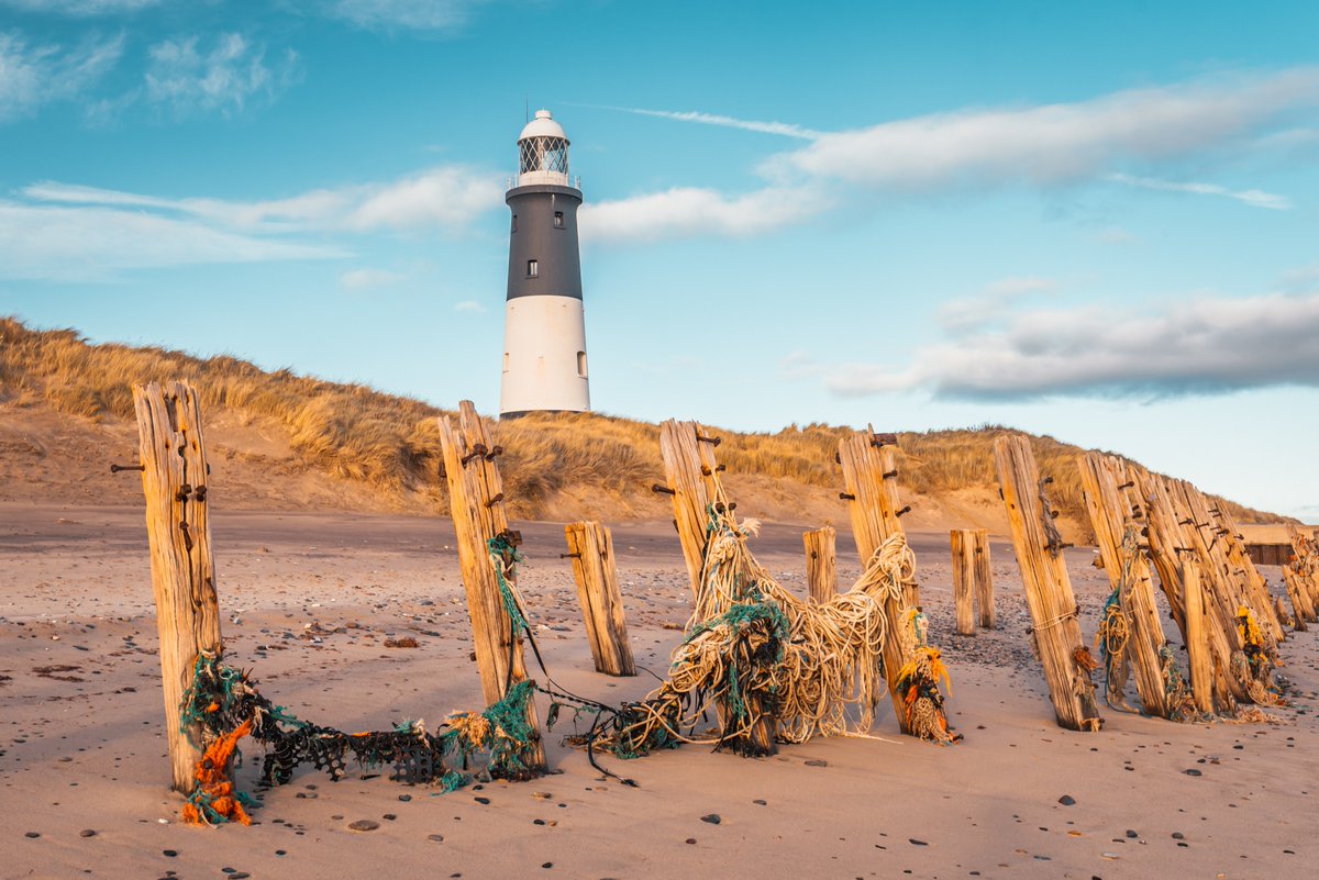 Looking like it could be a good weekend for a little trip to the beach.
Fossil hunting, rock pools or just a deck chair and an ice-cream - all there to enjoy for free.
daysoutyorkshire.com/attractions/ou…