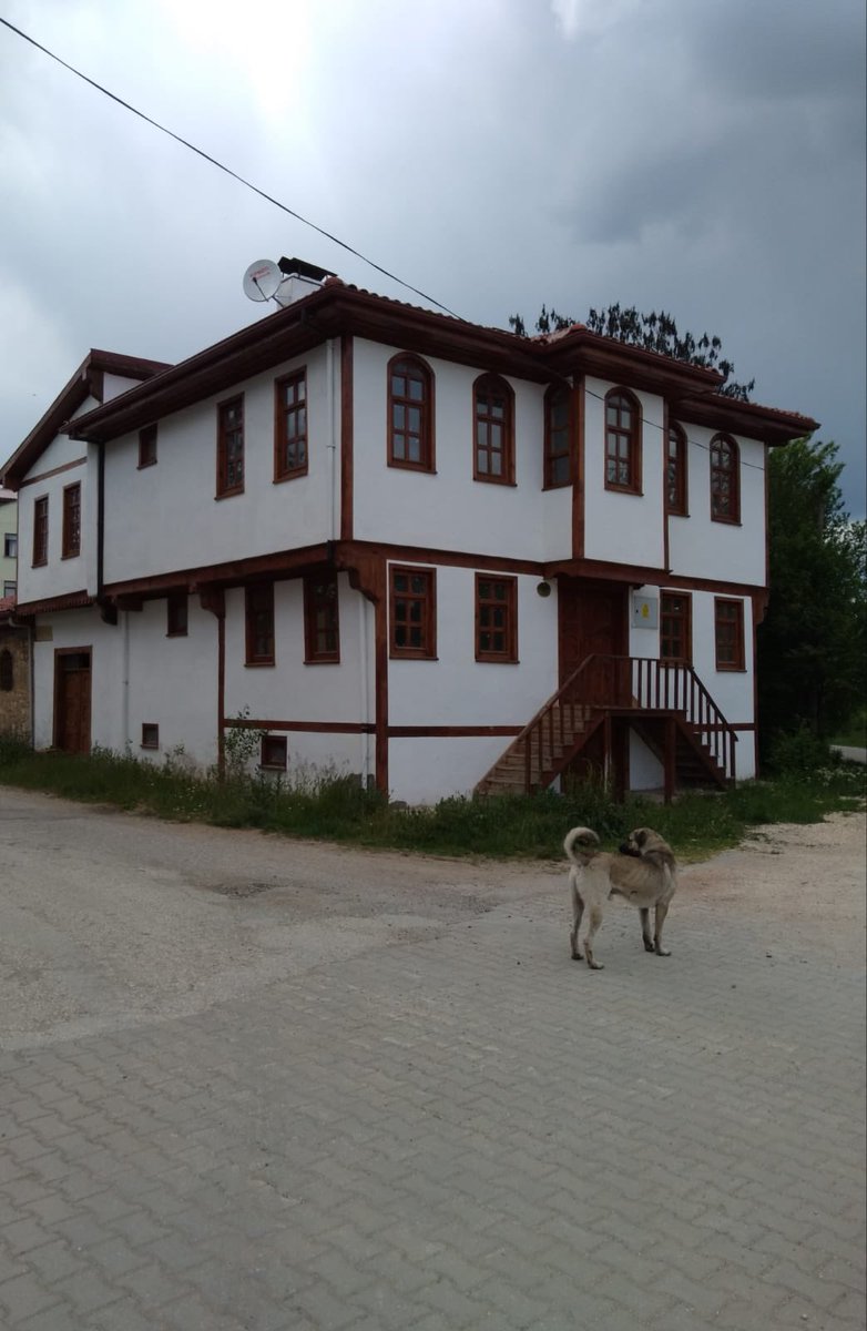 Mimari literatürde, bu yapılara 'Türk Evi' denir. Bu evleri hırsız müteahhitler değil, marifetli elli, temiz kalpli ustalar yapardı. Onlar, ev sahibi kadar, komşu hakkını da gözeten arif insanlardı.