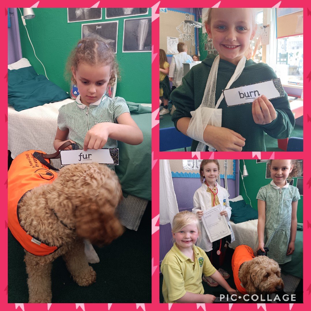 St Michael's RC Primary tweet media