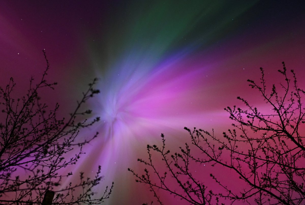SO PRETTY 😍 The aurora borealis, also known as the “northern lights,” caused by a coronal mass ejection on the Sun, illuminate the skies over the southwestern Siberian town of Tara, Omsk region, Russia on Saturday, May 11. 📸 Alexey Malgavko/Reuters rplr.co/EnviScienceChat
