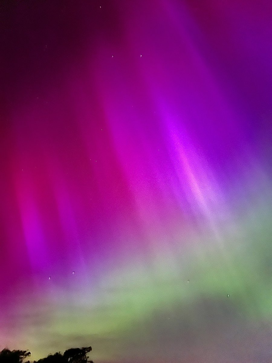 My First #northenlights experience!!! 🤩