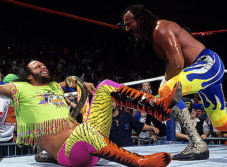 Macho Man Randy Savage isn't available, who is Jake 'the Snake' Robert's greatest rival?