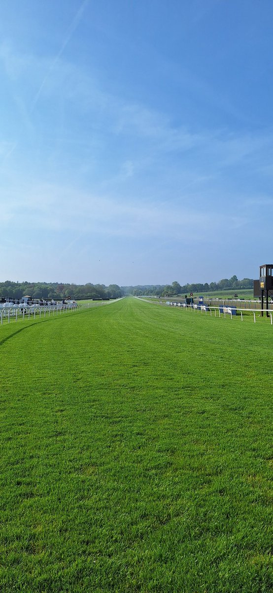 Stephanie Wethered tweet media