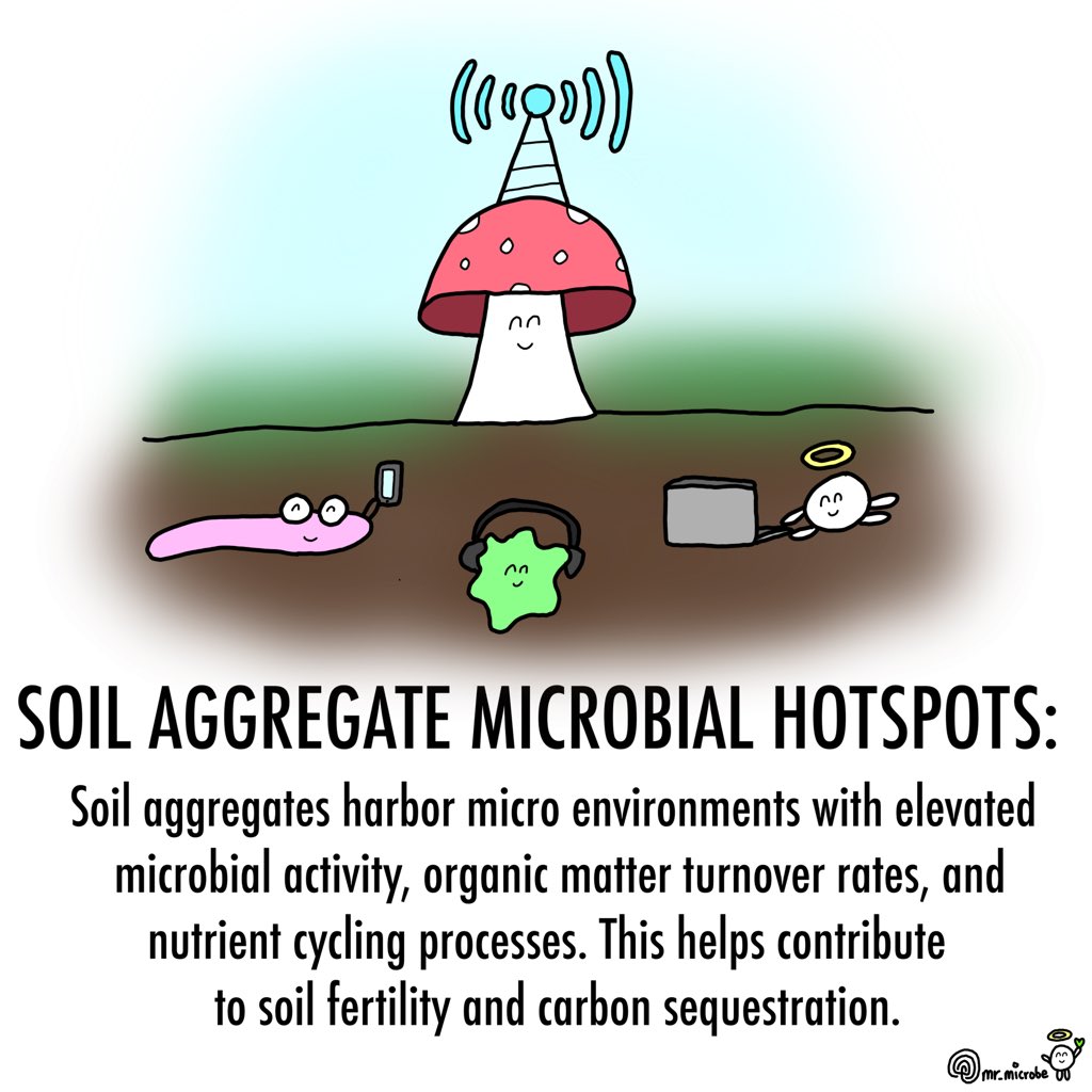 Daily art challenge day #586, soil hotspots 🍄🛜

#knf #koreannaturalfarming #naturalfarming #farming #farm #plants #seeds #planting #soil #microbes #microorganisms #nature #microorganism #regenerativeagriculture #regenerativefarming #childrensbooks #childrensbookillustration