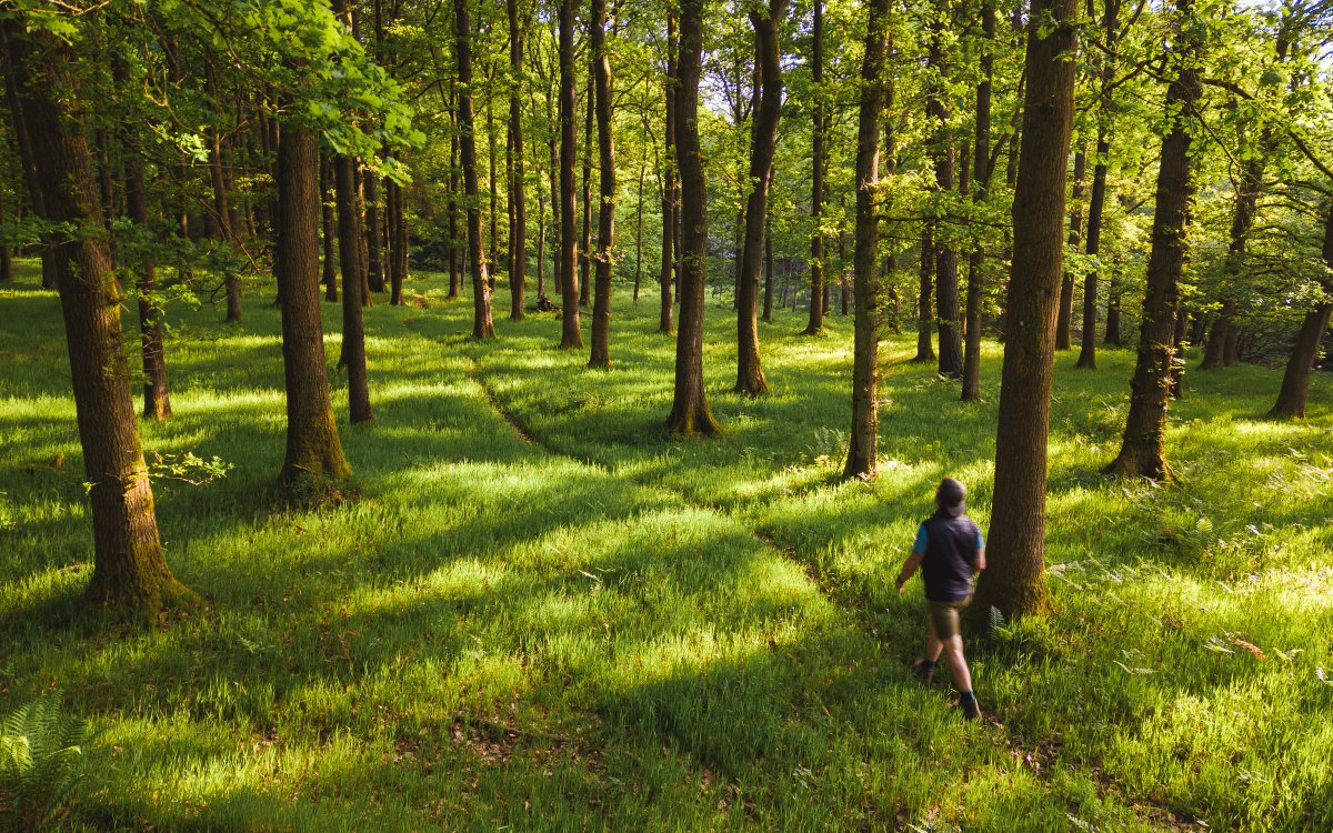 Being in nature more often can have a big impact on our health: - Living near to green spaces can reduce the risk of us developing anxiety or depression. - The level of ‘greenness’ is directly linked to the risk for these mental health disorders. - More frequent contact with…