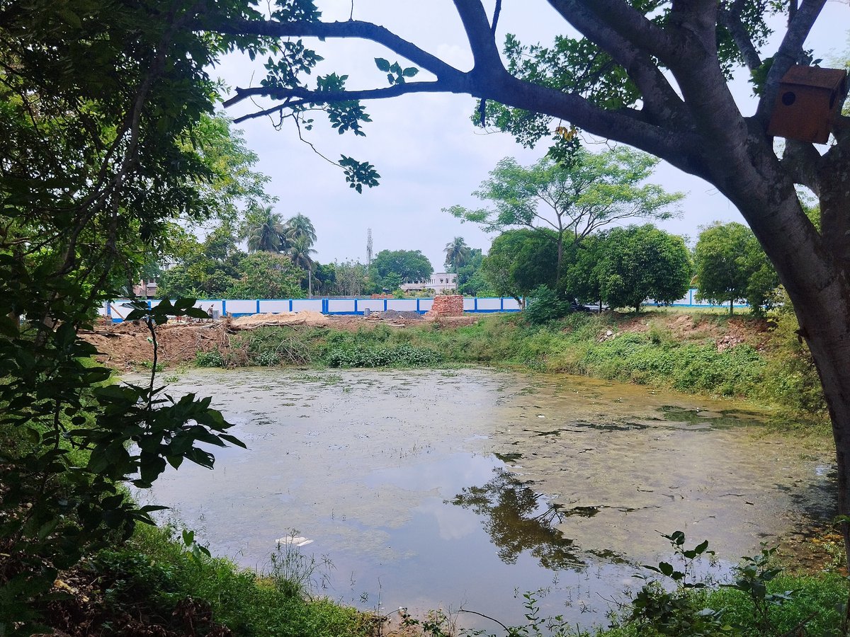 Had a great time visiting Dhaniakhali Sarat Centenary College and interacting with the visionary Principal #ProfSandipBasak; amazed by his on ground sustainability actions & most importantly emphasizing conservation of freshwater ecosystems including inside campus @AsimaPatra7