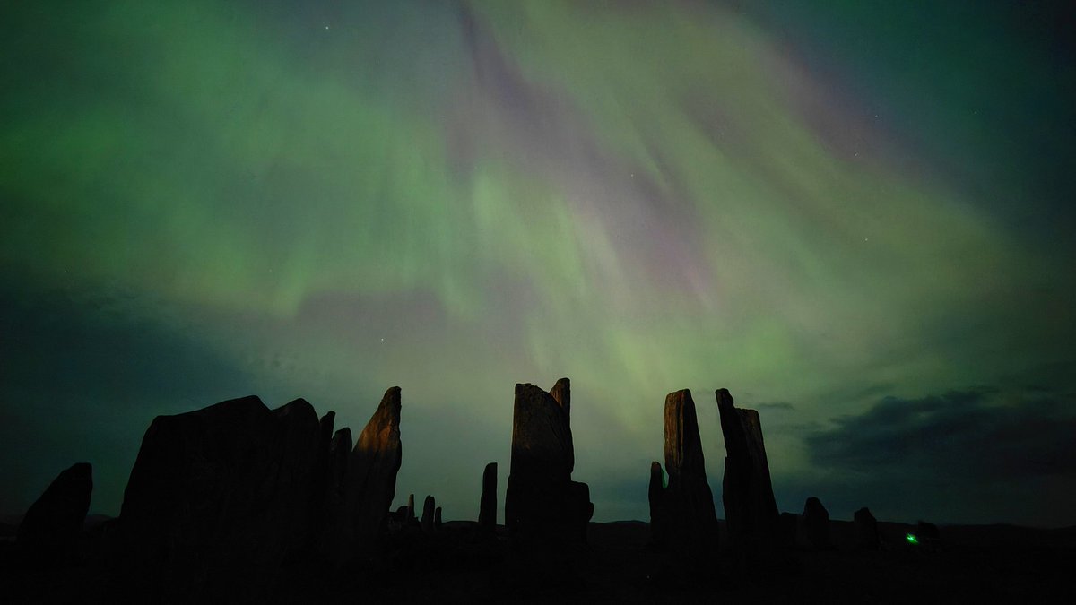 daffodil🪬 tweet media