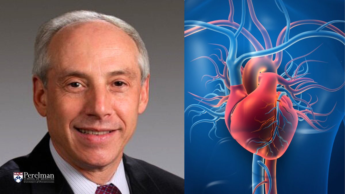 Through decades of exploration & collaboration, Howard Herrmann (@PennCardiology) has expanded the understanding of #TAVR & refined its techniques, ensuring safer & more effective outcomes for patients worldwide ft. Wilson Szeto (@PennSurgery) tinyurl.com/5arfpd3u