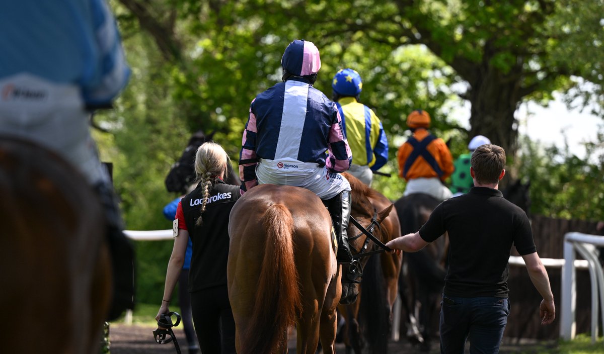 Photos from Huntingdon on Thursday can now be viewed on my website: francescaaltoft.co.uk/huntingdon-9th… Congratulations to all winning connections!