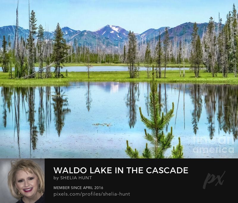 check out this new image of Waldo Lake in Cascade Mtns of Pacific Northwest: buff.ly/4dzJPU4 
#SheliaHuntPhotography #BuyIntoArt #PacificNorthwest #CascadeMountains #WaldoLake