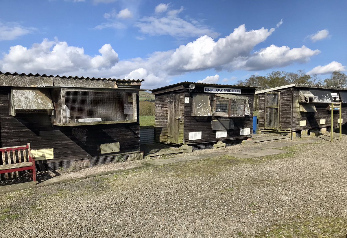 An interesting landscape legacy of mining you don’t see very often today, the pigeon loft #Kinneddar Park Lofts #Comrie #Fife 
#coal #miningheritage