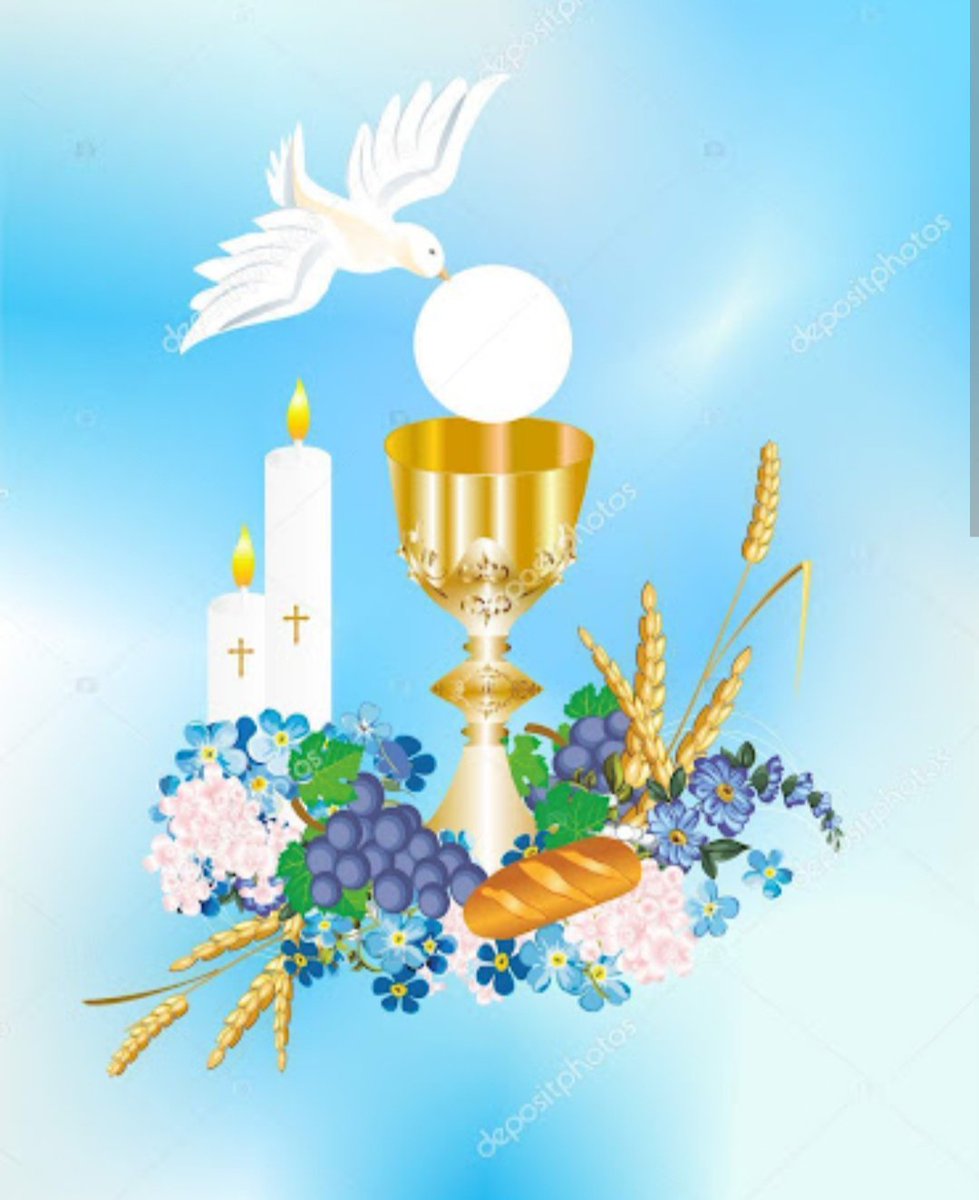 Wishing our 2nd Class pupils a very Happy First Holy Communion Day today. The sun is shining on you all on your special day! 🤍 #firstcommunion